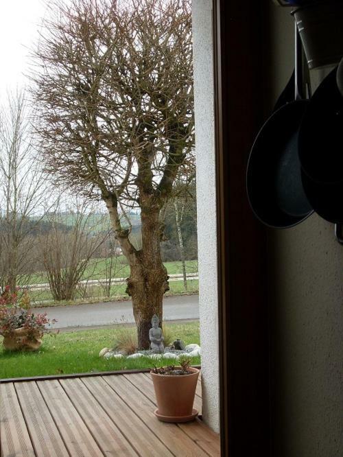 Apartmán Silvi Herdwangen-Schönach Exteriér fotografie